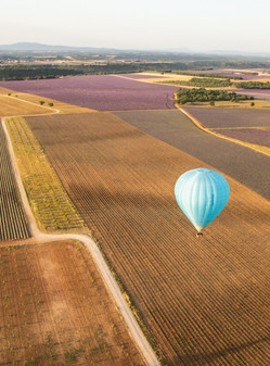 hot air balloon flight plateau valensole
