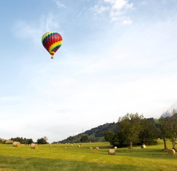 Vol en montgolfière au dessus d'un champs à serre poncon