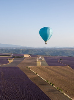Blue hot air balloon over purple lavender