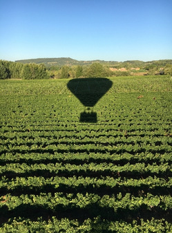 Ombre de montgolfière champs Roussillon